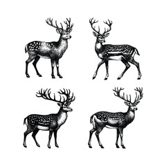 set of deer illustration. hand drawn deer black and white vector illustration. isolated white background