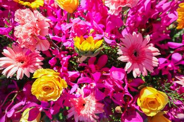 backdrop of beautifully arranged flower and bright colors is backdrop for flower in beautifully...