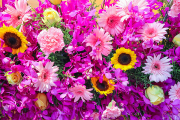 backdrop of beautifully arranged flower and bright colors is backdrop for flower in beautifully...