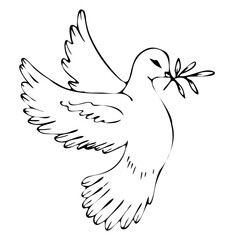 First_comFlying dove holding an olive branch as a sign of peace line art vectormunion_isolated