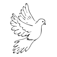 First_commBlack and white flying dove. Graphic arts. Vector. Handmadeunion_isolated