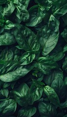 Obraz premium Verdant Foliage Blanket of Lush and Thriving Green Leaves in Natural Environment