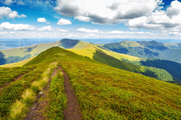 trail path through borzhava ridge of ukrainian carpathian mountain range in summer. grassy hillsides and slopes in dappled light. popular travel destination