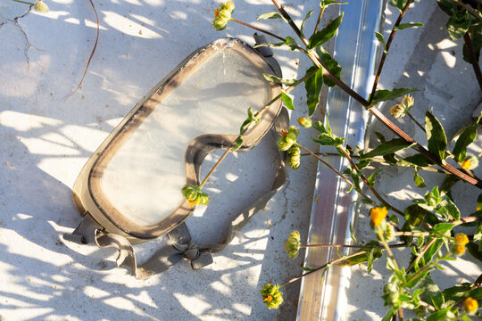 Abandoned Dusty Goggles on Concrete with Overgrown Weeds