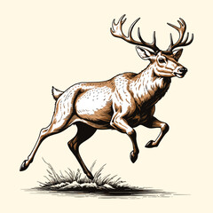 Reindeer Jumping Illustration Engraved Style Deer