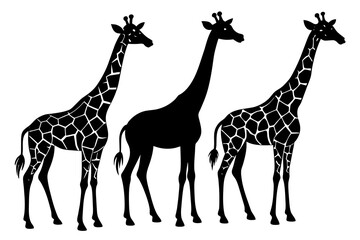  giraffe line art silhouette illustration