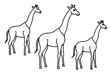  giraffe line art silhouette illustration