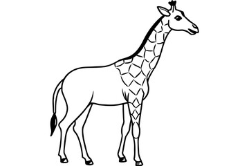  giraffe line art silhouette illustration