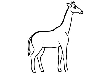  giraffe line art silhouette illustration