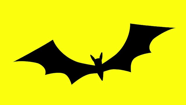2D flying black bat video animation with alpha channel transparent background. 4k videos