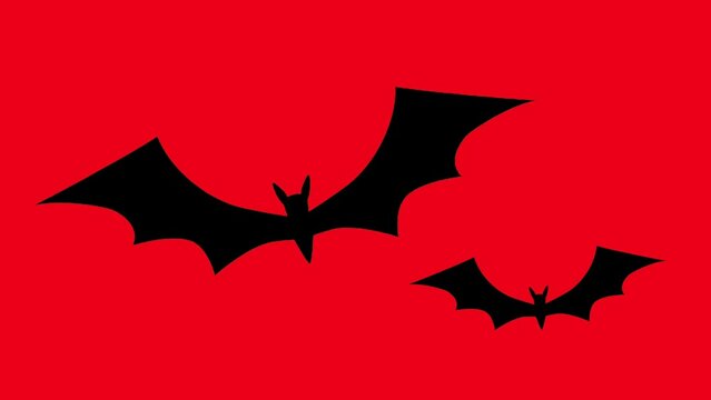 animation of flying black bat with alpha channel transparent background. 4k video