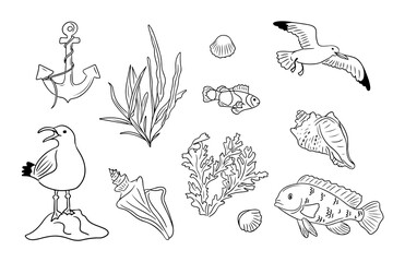 Summer seaside doodle set with seagulls and underwater life. Collection of sketchy contour drawings isolated on white background. Monochrome black outline stickers