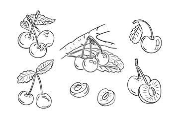 Summer fruits doodle set with cherries and branches with leaves. Monochrome vector sketchy drawings of groups of fruits on white background. Ideal for coloring pages, tattoo, pattern