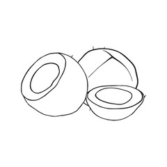 coconut line drawing