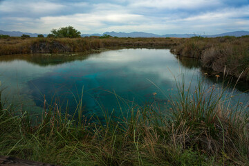 Oasis in the desert of Coahuila Mexico also called Poza Azul biodiversity fish and turtles inhabiting the site