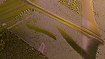 Abstract pattern of water drops on glass