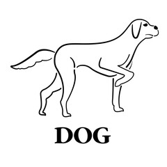 Silhouette of hunting dog, line art. Gun dog breed. Vector illustration, painting. Pointing breed. Dog Side View. Vector object for Labels, Badges, Logos and other Design.
