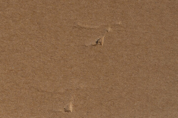 Paper page with damage