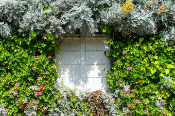 Window with flowers in the Dubai Miracle Garden. 