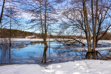 A tranquil winter scene captures the beauty of melting snow, with open water reflecting the clear blue sky and bare trees standing by the snowy field