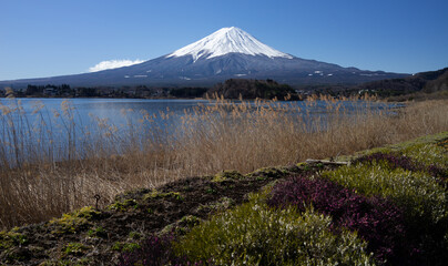 富士山　日本一　山　日本　観光　雪冠　河口湖　観光　湖　青空　雄大な