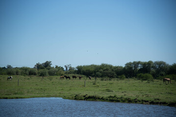Rural landscape in the city of Dom Pedrito