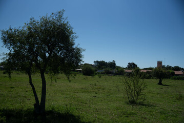 Rural landscape in the city of Dom Pedrito