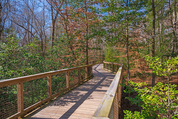 Boardwalk Heading into the Bottomland Forest