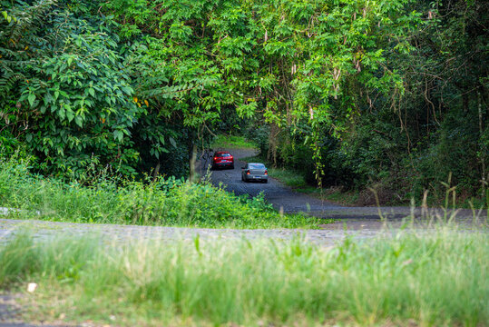 View of the Perau road between the cities of Itaara and Santa Maria RS Brasil