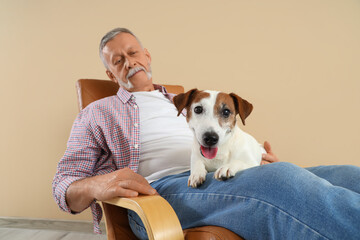 Mature man with cute Jack Russell terrier lying in armchair at home