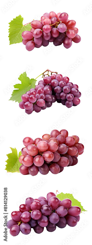 Poster exquisite grape cluster: perfectly isolated on transparent backdrop