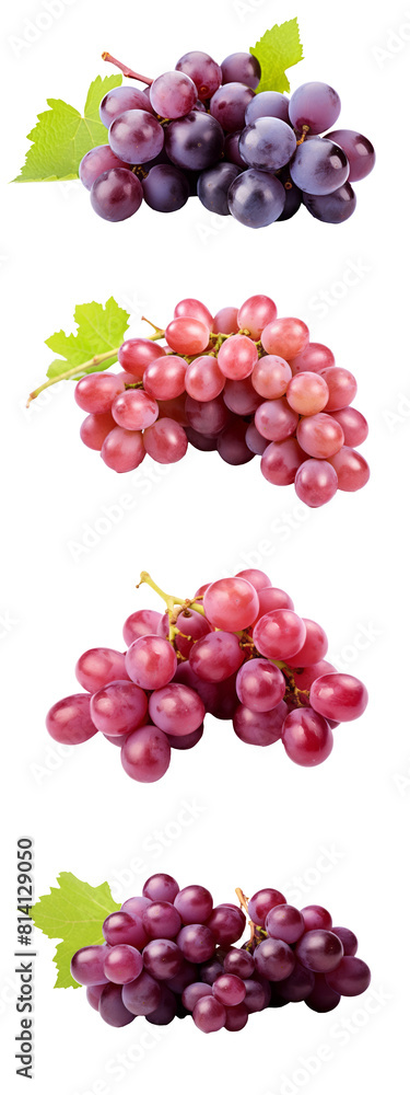 Poster exquisite grapes set on transparent background: perfect for elegant design projects. ideal for addin
