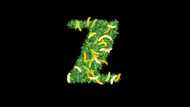 Botanical Alphabet Typography: Letter 'Z' in Banana with leaves and Branches, This video offers a captivating blend of typography and nature.