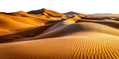 stunning desert landscape dunes sand mountains wavy sand surface transparent background
