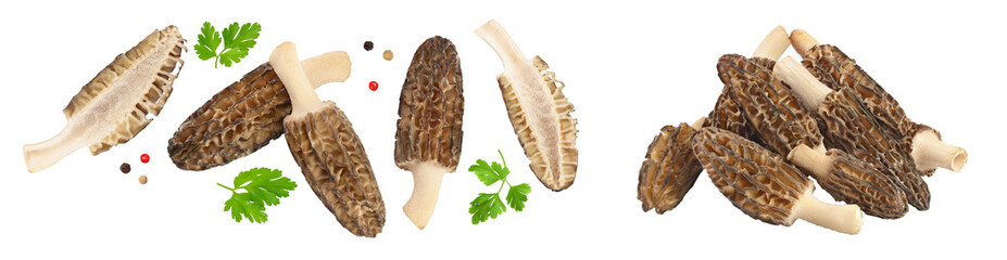 raw morel mushroom isolated on white background with full depth of field. Top view. Flat lay.