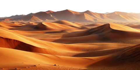 stunning desert landscape dunes sand mountains wavy sand surface transparent background
