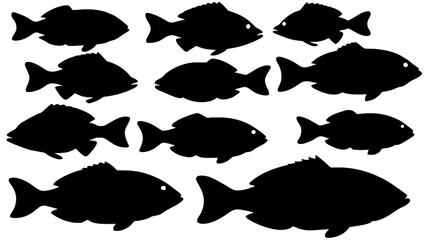 a variety of tilapia fish types from around the world, with each silhouette