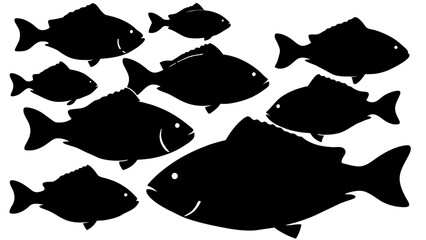 a variety of tilapia fish types from around the world, with each silhouette