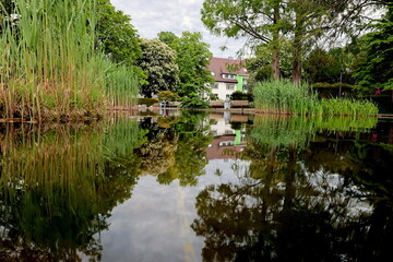 Fototapeta na wymiar Teich im Freiburger Stadtgarten im Frühling