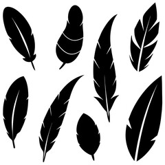 different type of Feather Set icon, a different position feather logo isolated on white background