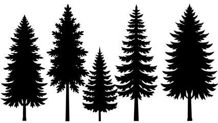 Fototapeta premium different type of Vintage forest pine trees with ground soil silhouette