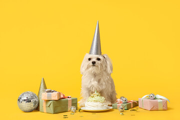 Cute Bolognese dog in party hat celebrating Birthday with gift boxes and cake on yellow background