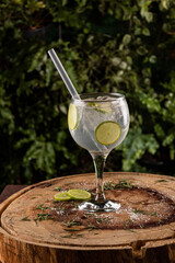 Gin Tônica na taça com rodelas de limão decorativas