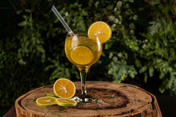 Gin Tropical com rodelas de laranja decorativas