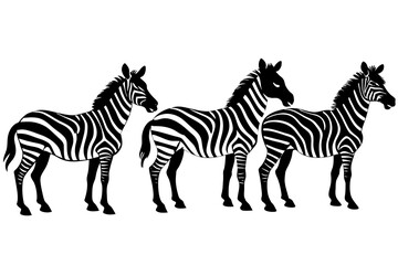 zebra line art silhouette illustration