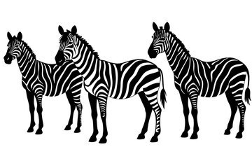 zebra line art silhouette illustration