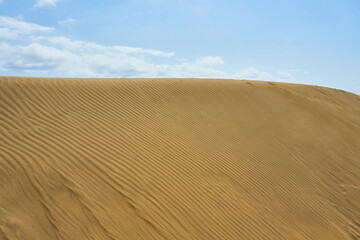 Sand dune in the desert with clouds in the background