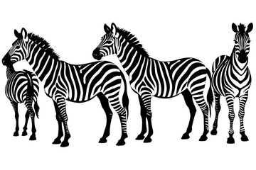 zebra line art silhouette illustration