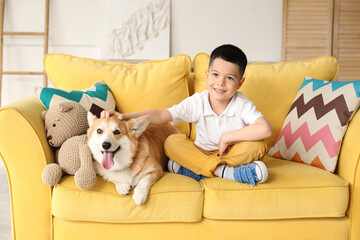 Little happy Asian boy with cute Corgi dog sitting on sofa at home