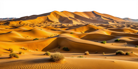 stunning desert landscape dunes sand mountains wavy sand surface transparent background
